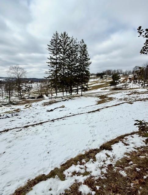 275 Old Scales Road Washington, PA 15301 - Photo 7 of 11 a view of beach with ocean view