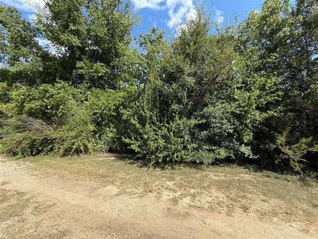 $29,999 | 120 Live Oak Drive, Whitney, TX 76692