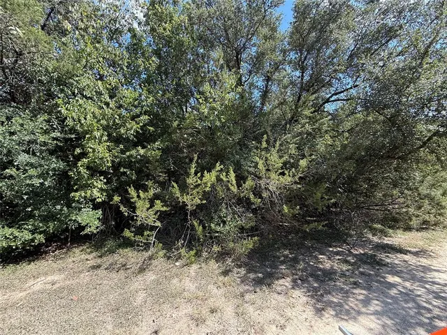 $29,999 | 120 Live Oak Drive, Whitney, TX 76692
