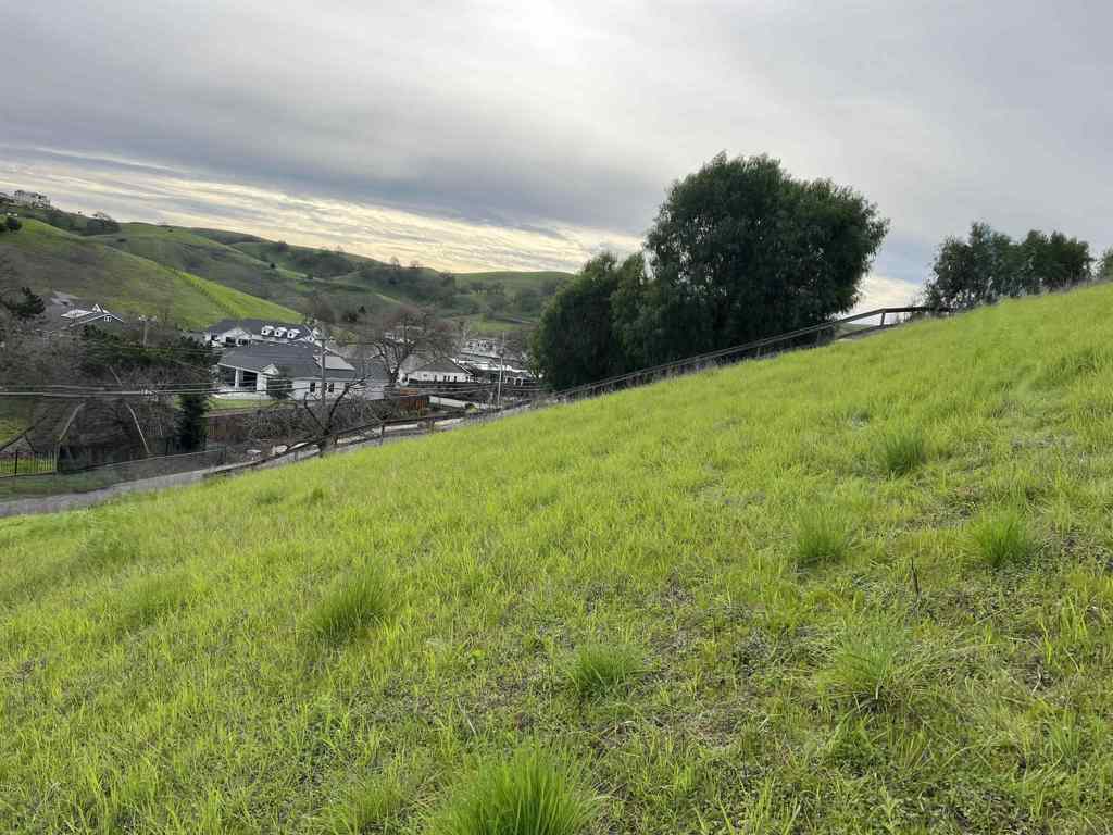 1388-1388 Lawrence Road Danville, CA 94506 - Photo 7 of 11