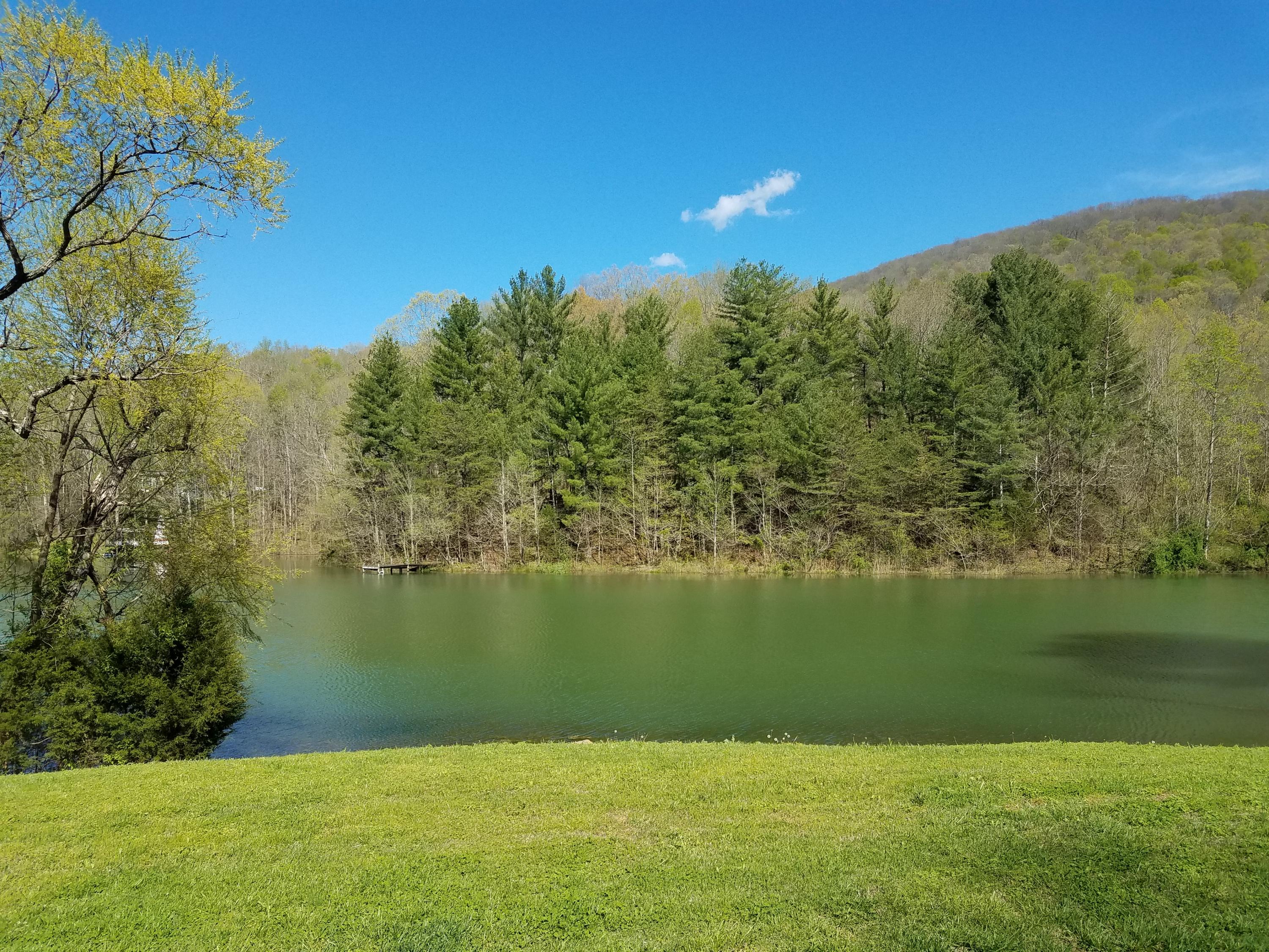 943 L Swafford Road Pikeville, TN 37367 - Photo 22 of 40 22