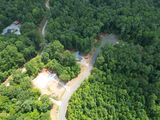 a view of a garden with plants