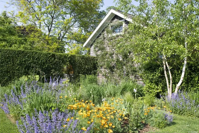 a backyard of a house with lots of green space and trees all around