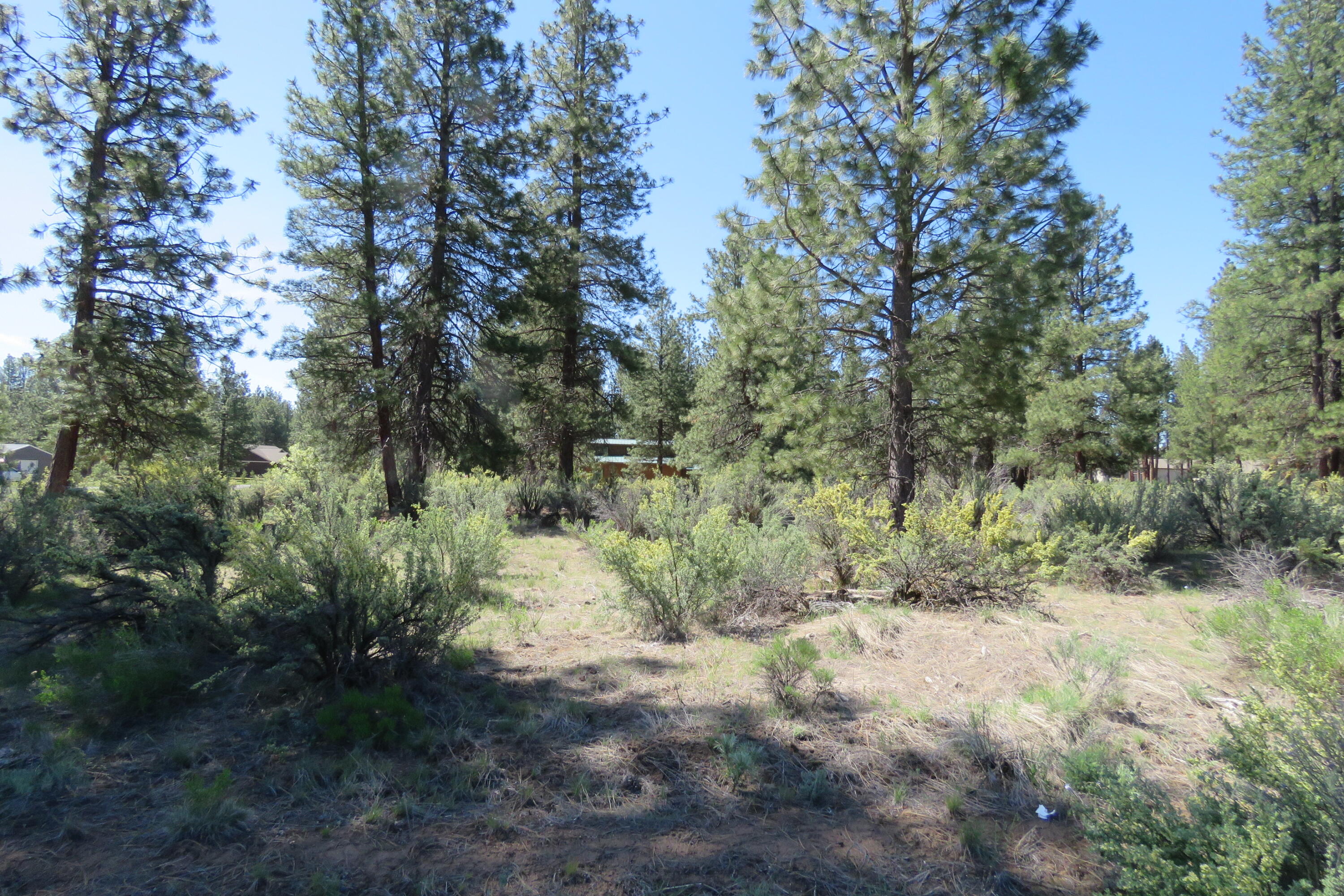 Castle Drive Chiloquin, OR 97624 - Photo 7 of 12 IMG_4566