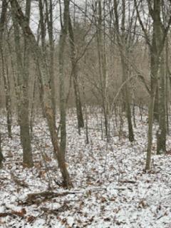 Redwood Road Roscommon, MI 48653 - Photo 8 of 9