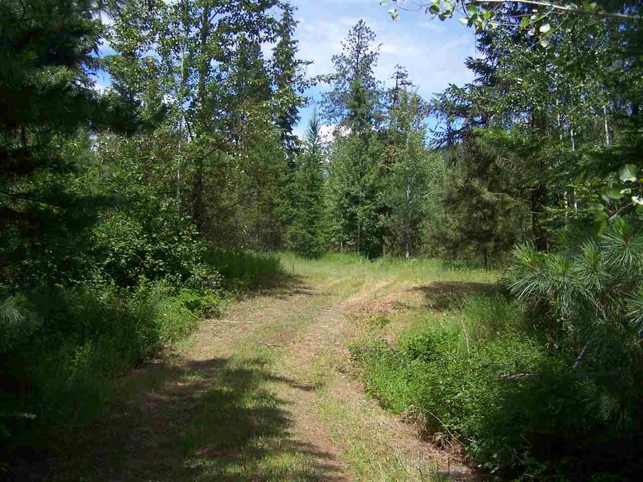 L3 Highway 20 Route Cusick, WA 99119 - Photo 2 of 20 Gallery Image 2