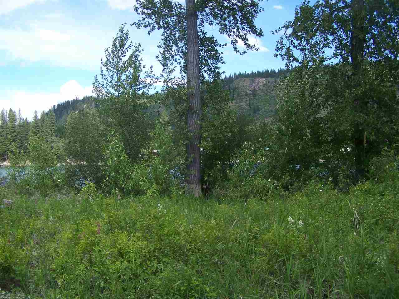 L3 Highway 20 Route Cusick, WA 99119 - Photo 12 of 20 Gallery Image 12