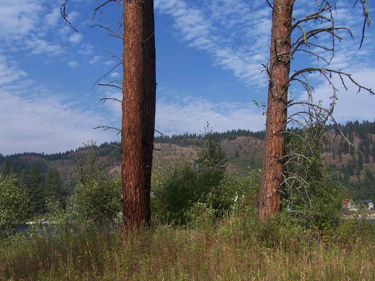 L3 Highway 20 Route Cusick, WA 99119 - Photo 13 of 20 Gallery Image 13