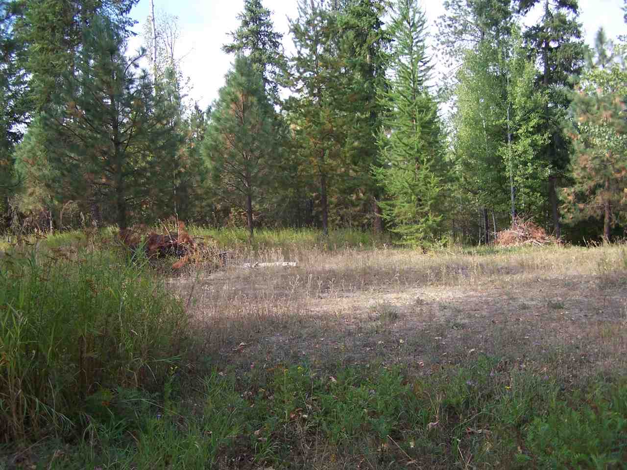 L3 Highway 20 Route Cusick, WA 99119 - Photo 15 of 20 Gallery Image 15