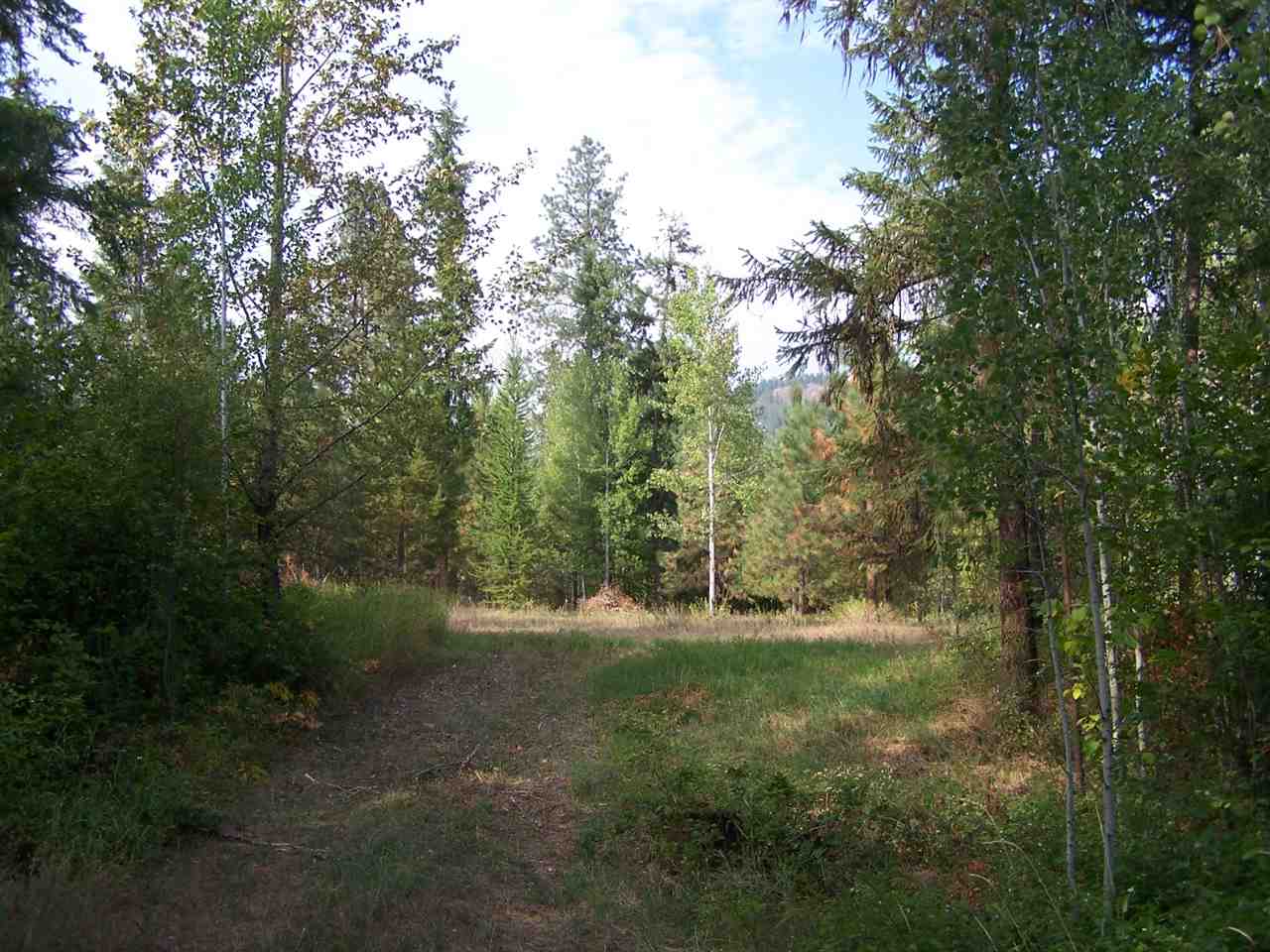 L3 Highway 20 Route Cusick, WA 99119 - Photo 17 of 20 Gallery Image 17
