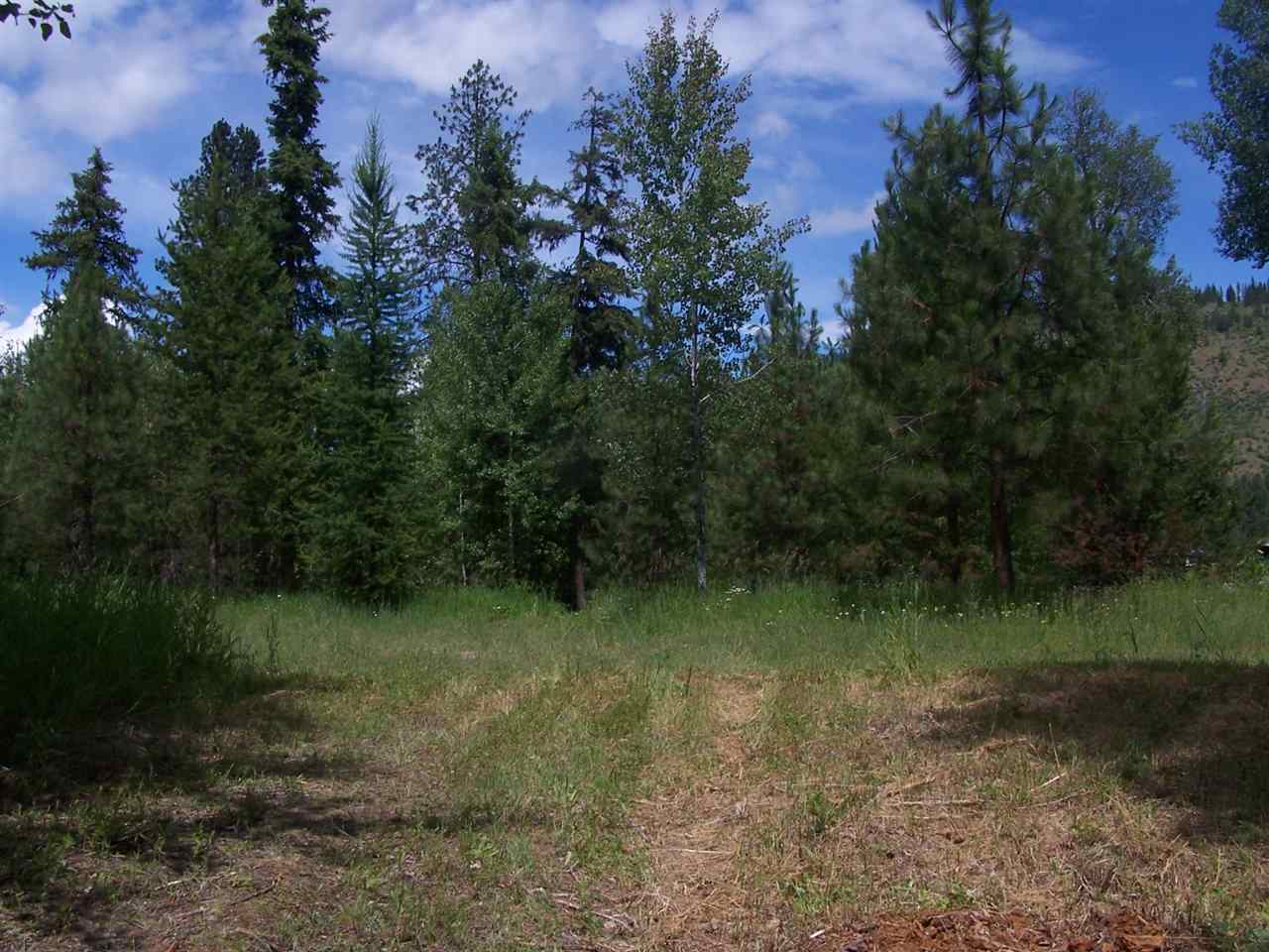 L3 Highway 20 Route Cusick, WA 99119 - Photo 18 of 20 Gallery Image 18