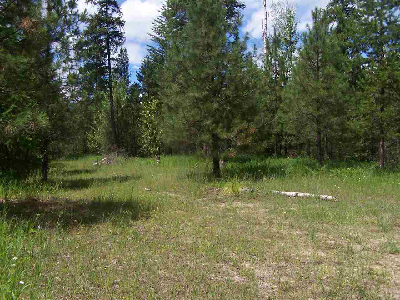 L3 Highway 20 Route Cusick, WA 99119 - Photo 3 of 20 Gallery Image 3
