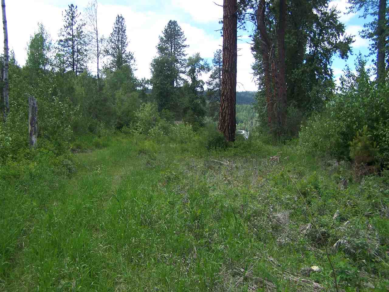 L3 Highway 20 Route Cusick, WA 99119 - Photo 5 of 20 Gallery Image 5