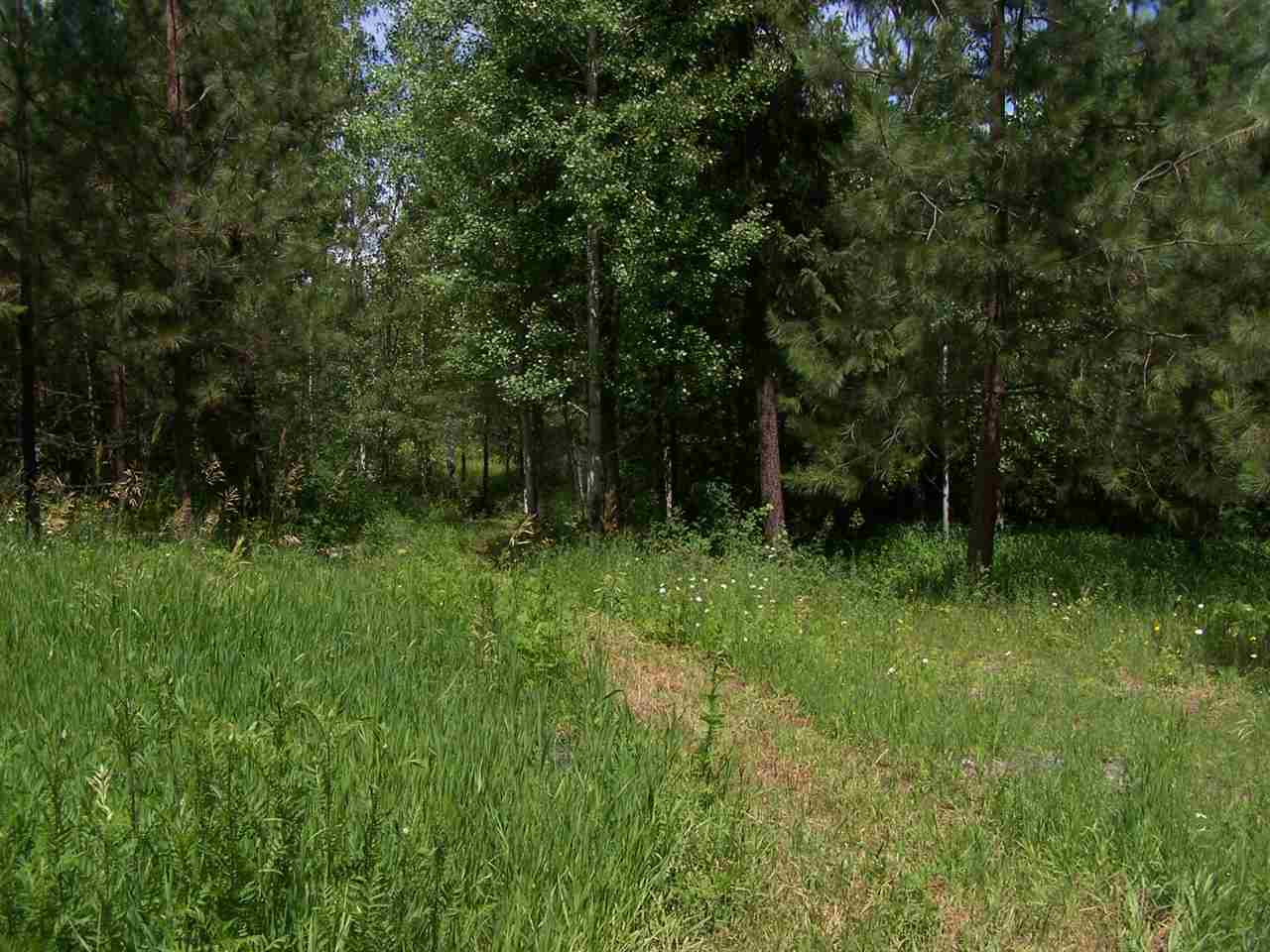 L3 Highway 20 Route Cusick, WA 99119 - Photo 6 of 20 Gallery Image 6