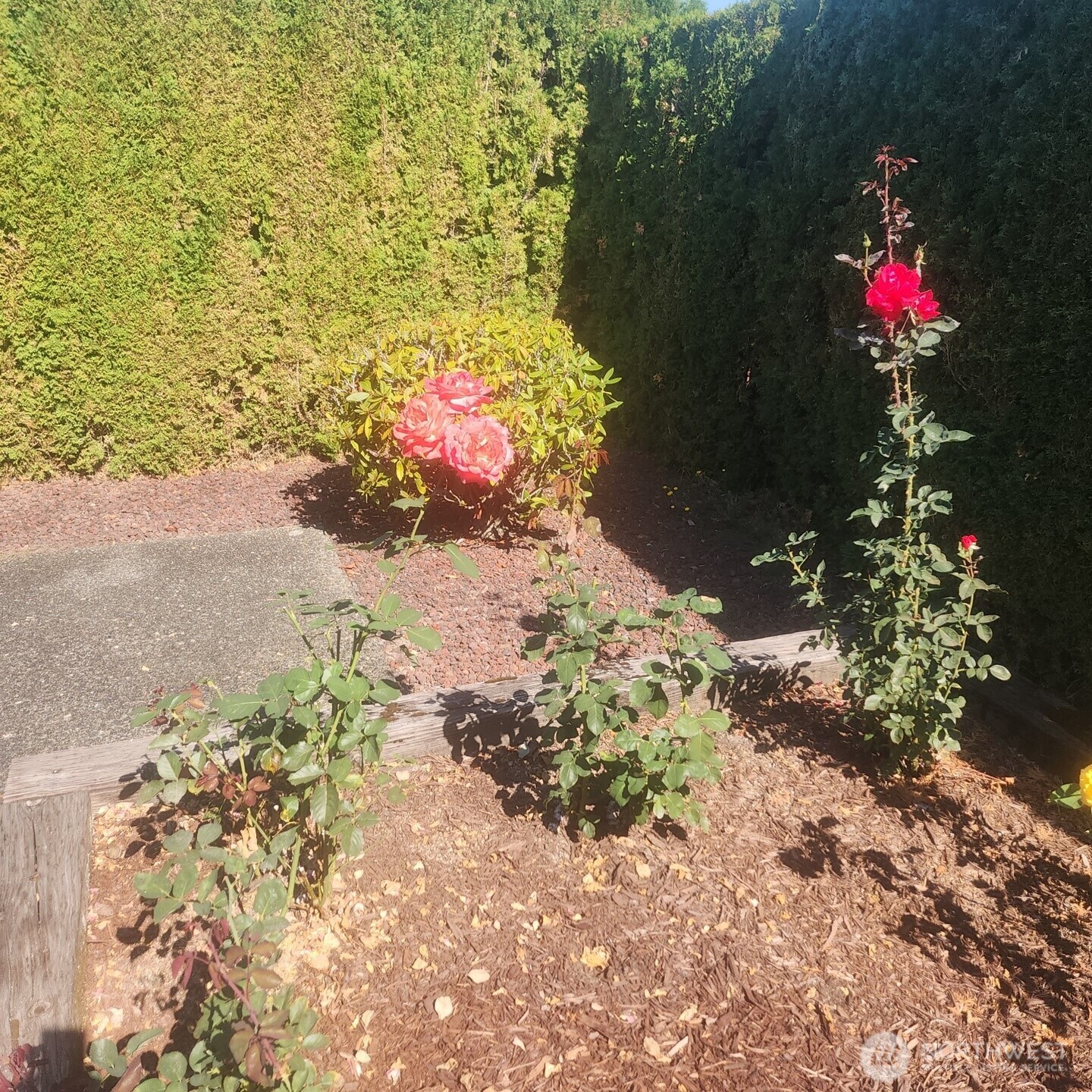 1402 22nd Street Northeast, Unit 503 Auburn, WA 98002 - Photo 8 of 34