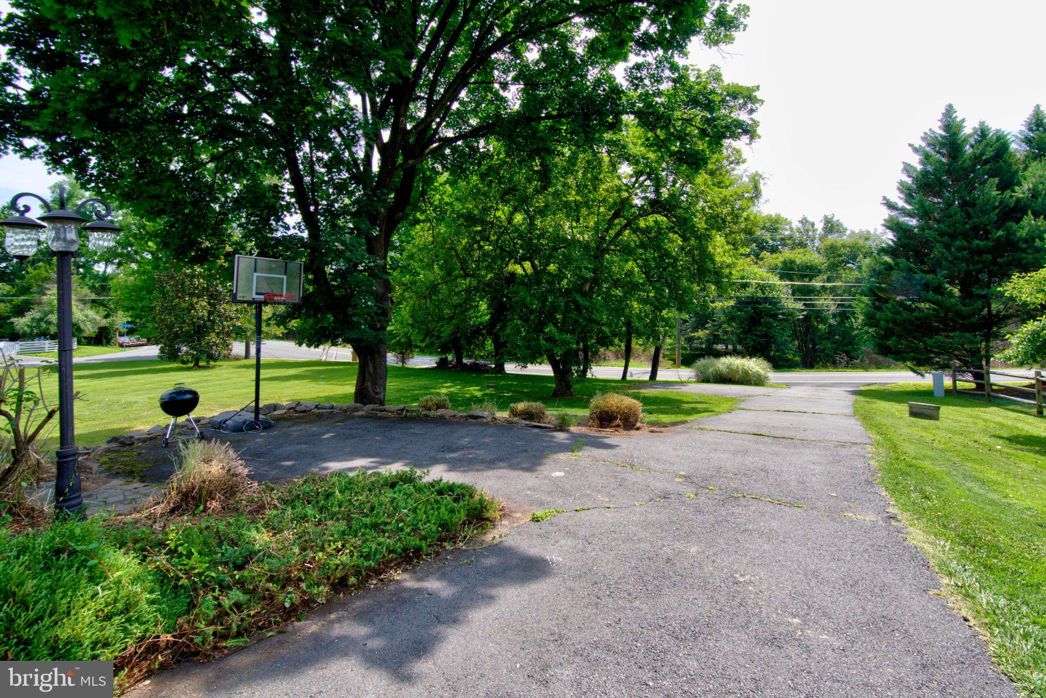 900 Walker Road Great Falls, VA 22066 - Photo 44 of 52 Spacious yard with lush greenery.