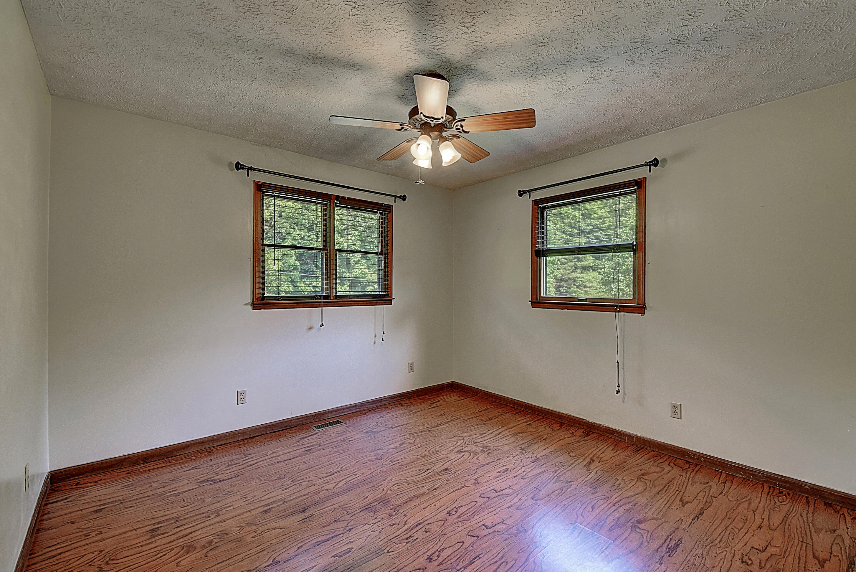 701 Coffee Ridge Road Erwin, TN 37650 - Photo 20 of 41 DSC_0331And8more_1