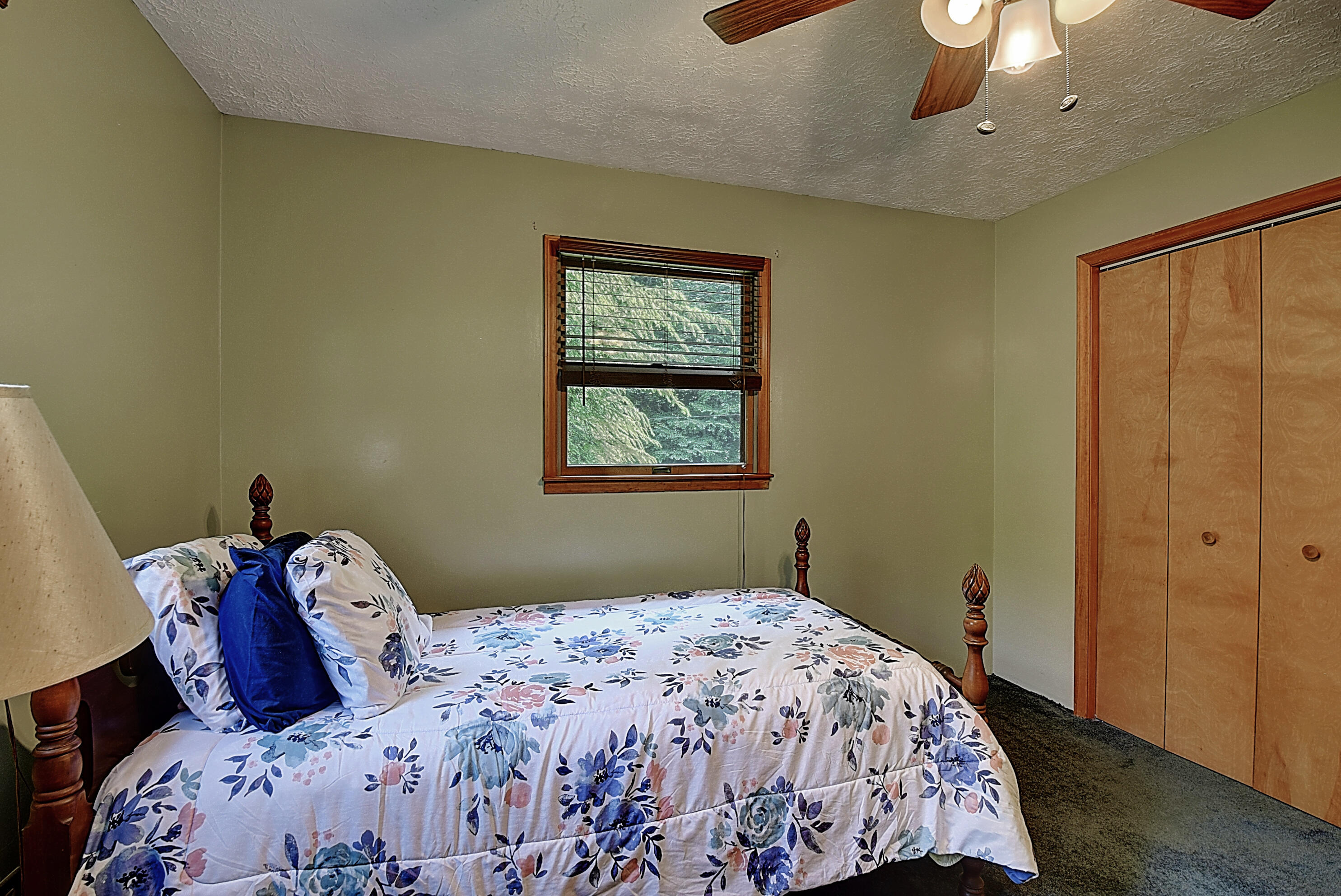 701 Coffee Ridge Road Erwin, TN 37650 - Photo 23 of 41 DSC_0376And8more