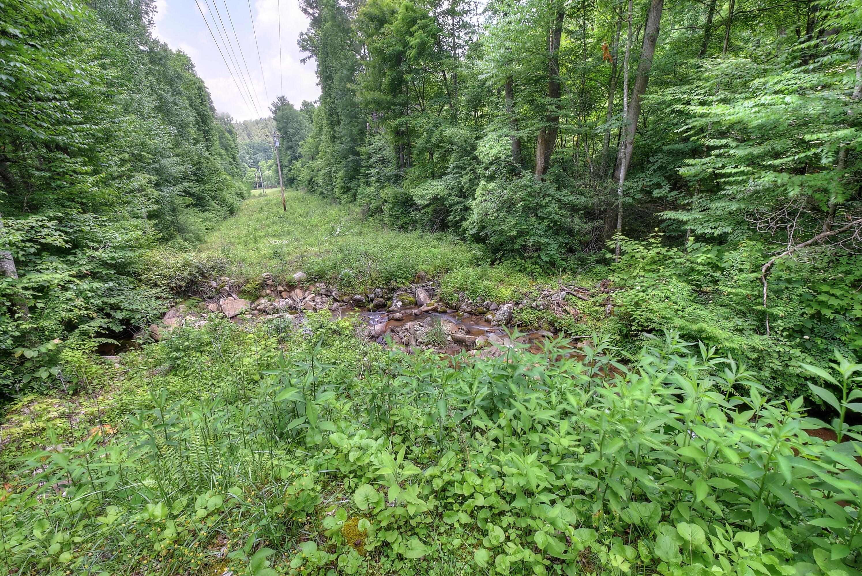 701 Coffee Ridge Road Erwin, TN 37650 - Photo 30 of 41 DSC_0499_500_501_502_503_504_1