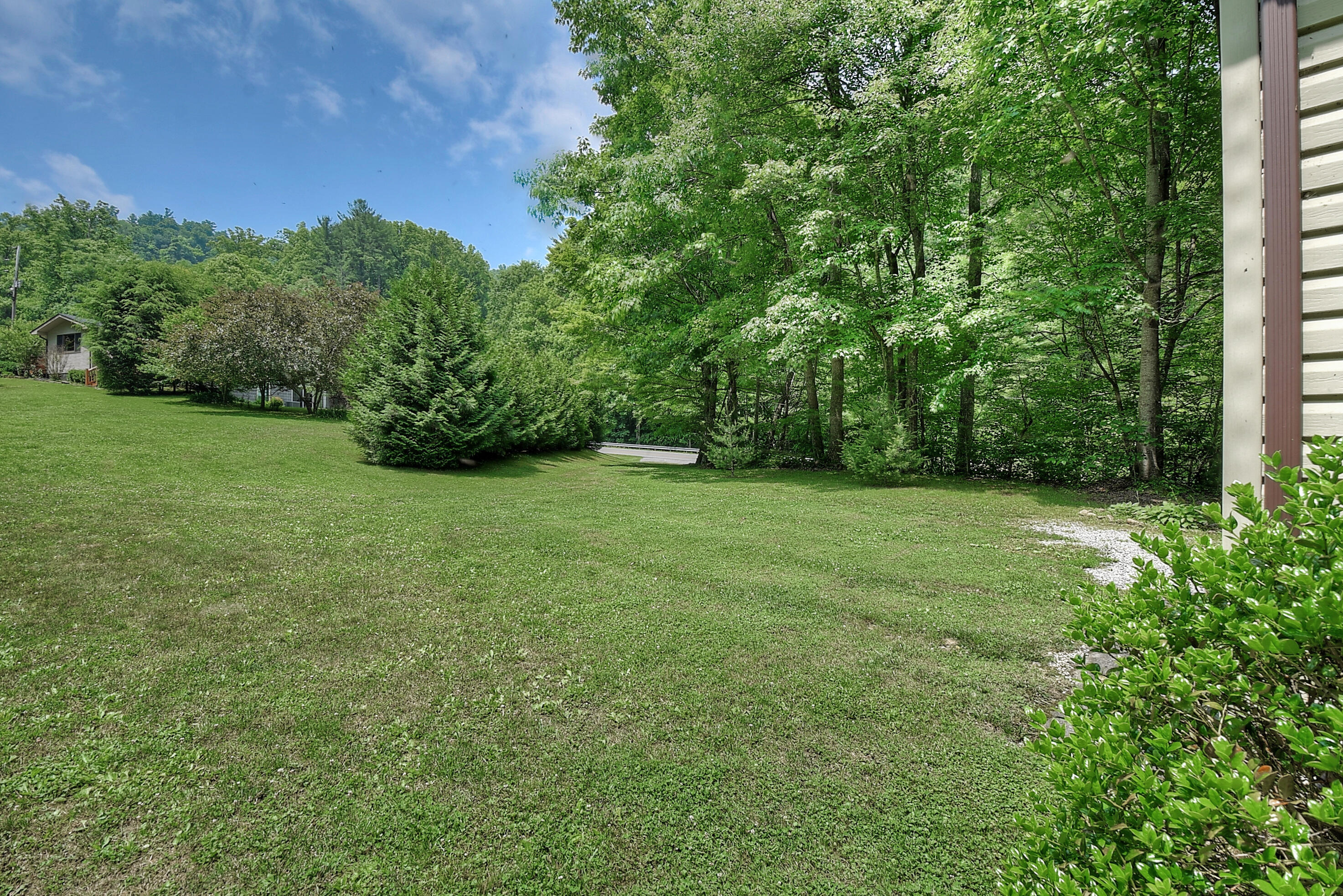 701 Coffee Ridge Road Erwin, TN 37650 - Photo 35 of 41 DSC_0553_4_5_6_7_8_1