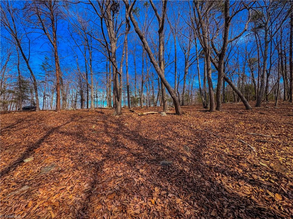 430 Sierra Trace Road Denton, NC 27239 - Photo 11 of 40