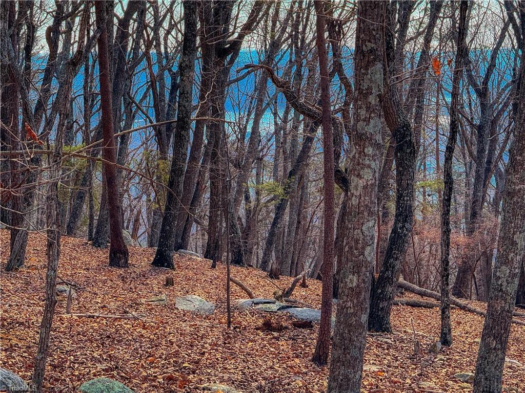 430 Sierra Trace Road Denton, NC 27239 - Photo 12 of 40