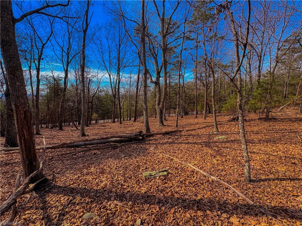 430 Sierra Trace Road Denton, NC 27239 - Photo 13 of 40