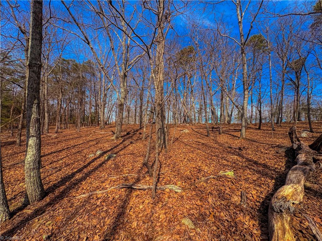 430 Sierra Trace Road Denton, NC 27239 - Photo 14 of 40