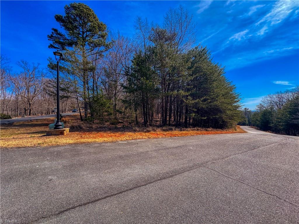 430 Sierra Trace Road Denton, NC 27239 - Photo 16 of 40