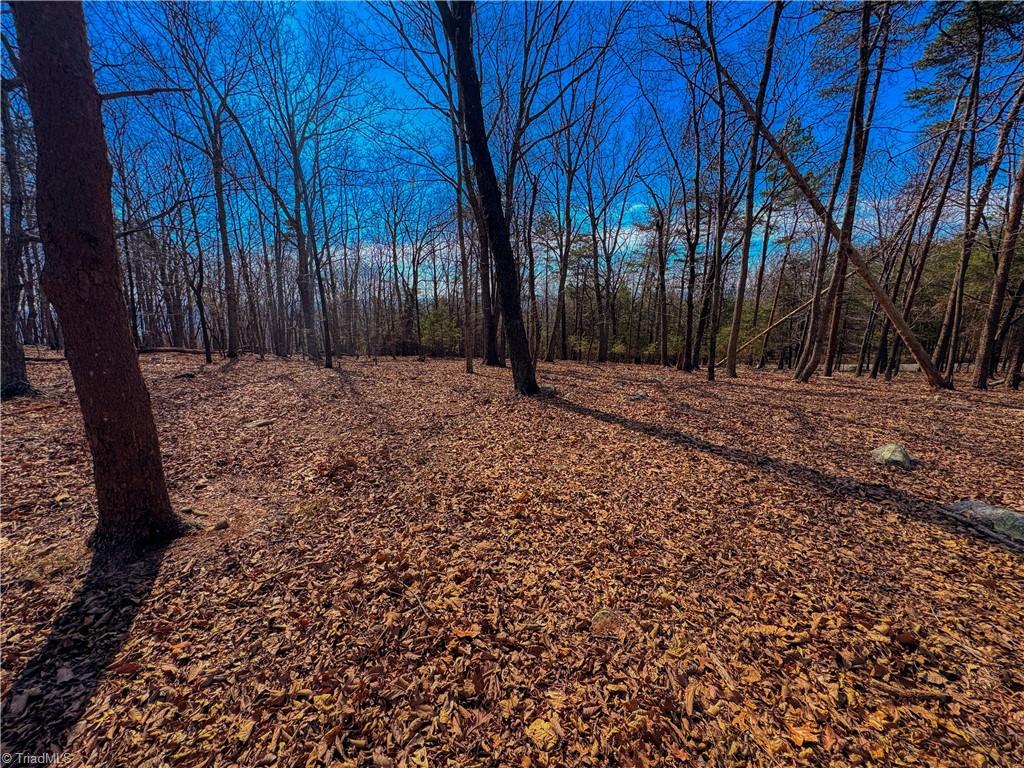 430 Sierra Trace Road Denton, NC 27239 - Photo 6 of 40