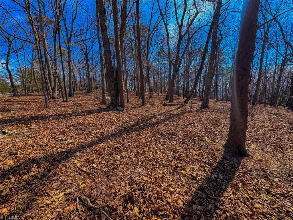 430 Sierra Trace Road Denton, NC 27239 - Photo 7 of 40