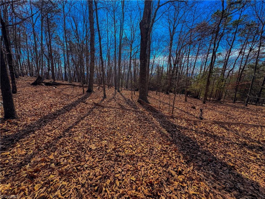 430 Sierra Trace Road Denton, NC 27239 - Photo 8 of 40