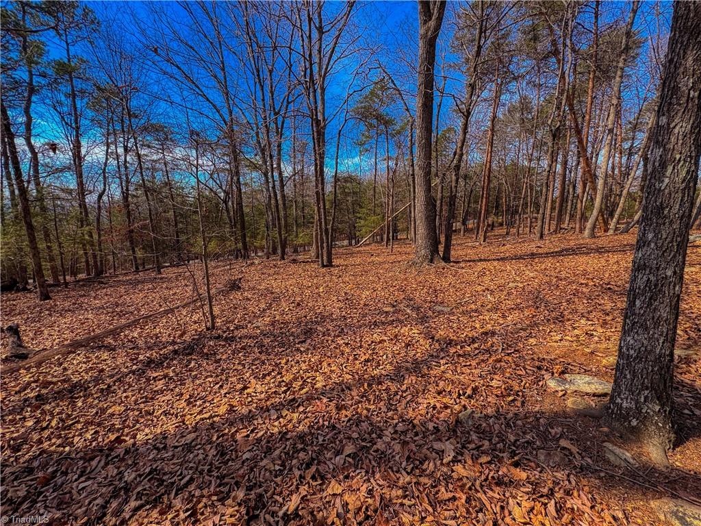 430 Sierra Trace Road Denton, NC 27239 - Photo 9 of 40