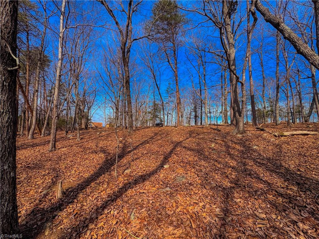 430 Sierra Trace Road Denton, NC 27239 - Photo 10 of 40