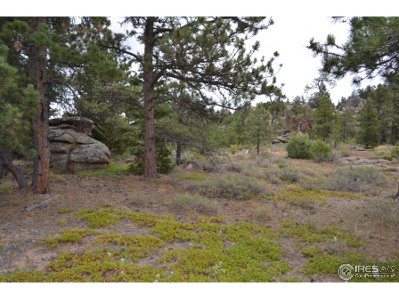 1849 Cap Rock Road Livermore, CO 80536 - Photo 13 of 27 Gallery Image 13