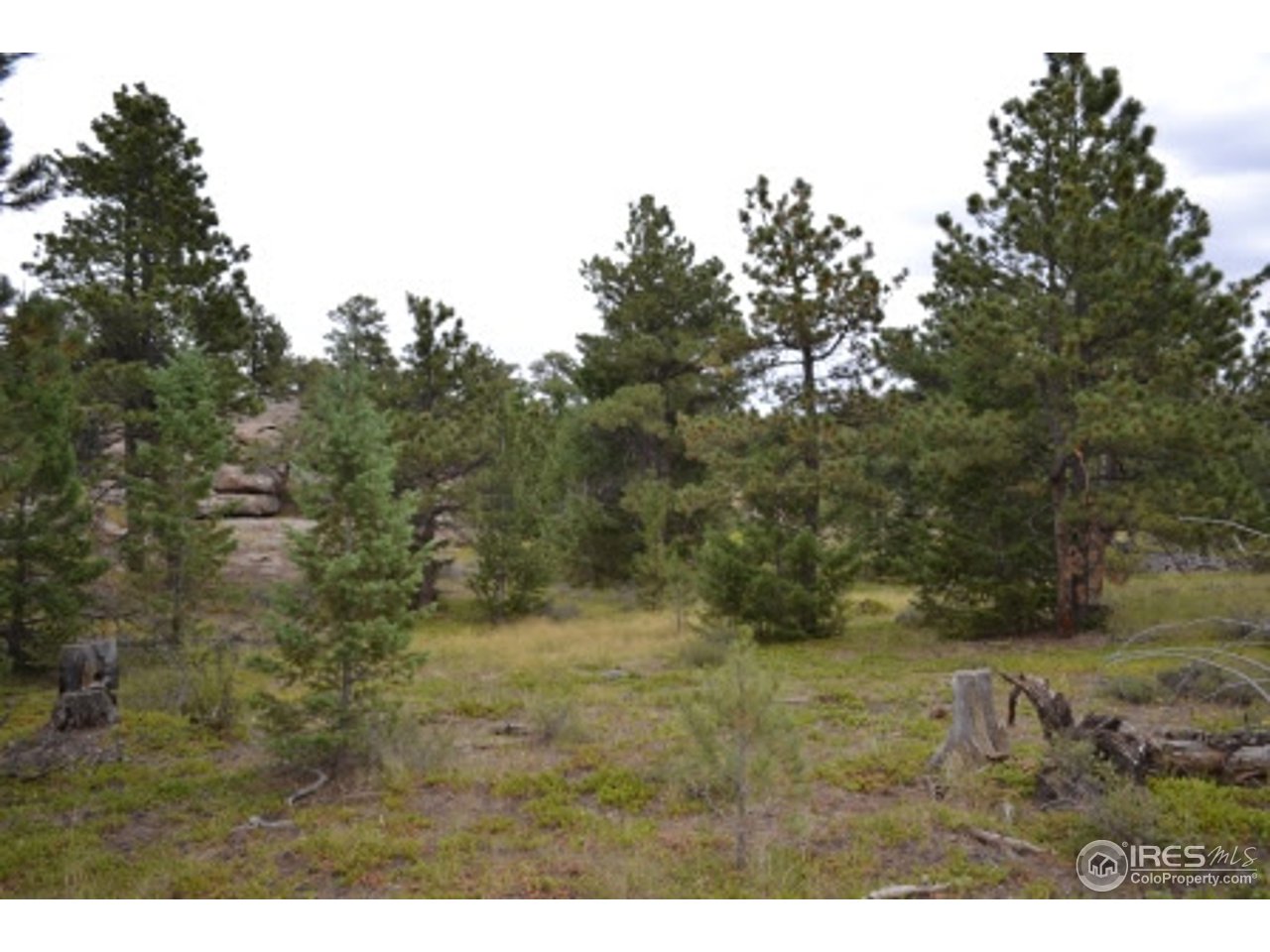 1849 Cap Rock Road Livermore, CO 80536 - Photo 25 of 27 Gallery Image 25