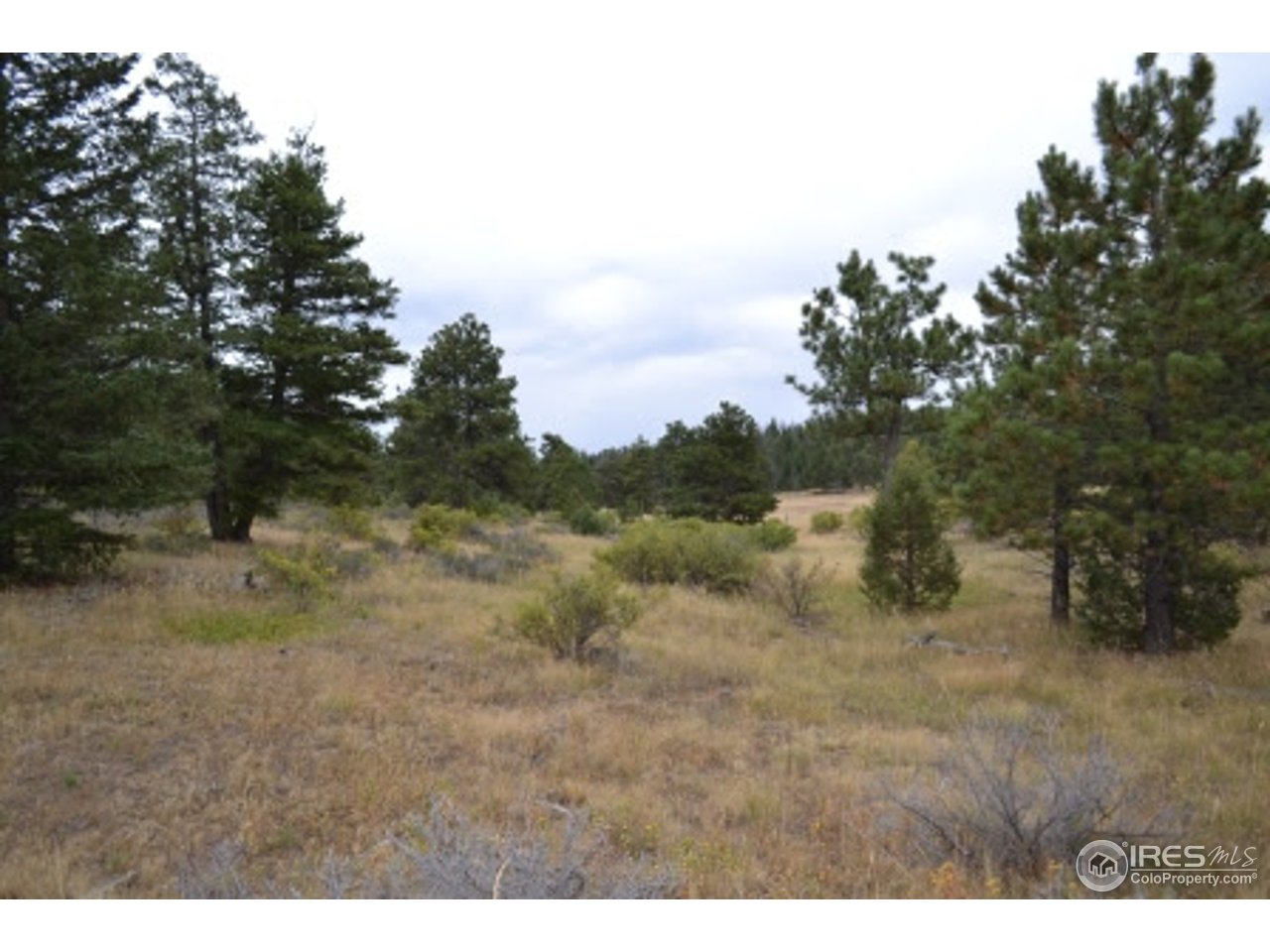 1849 Cap Rock Road Livermore, CO 80536 - Photo 8 of 27 Gallery Image 8