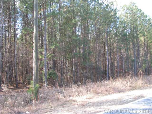 24-ac 24-ac Walls Road Chester, SC 29706 - Photo 2 of 4