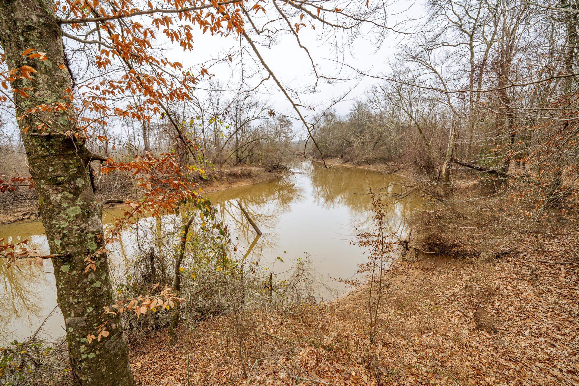 10970 Peavine Road Pocahontas, TN 38061 - Photo 1 of 26