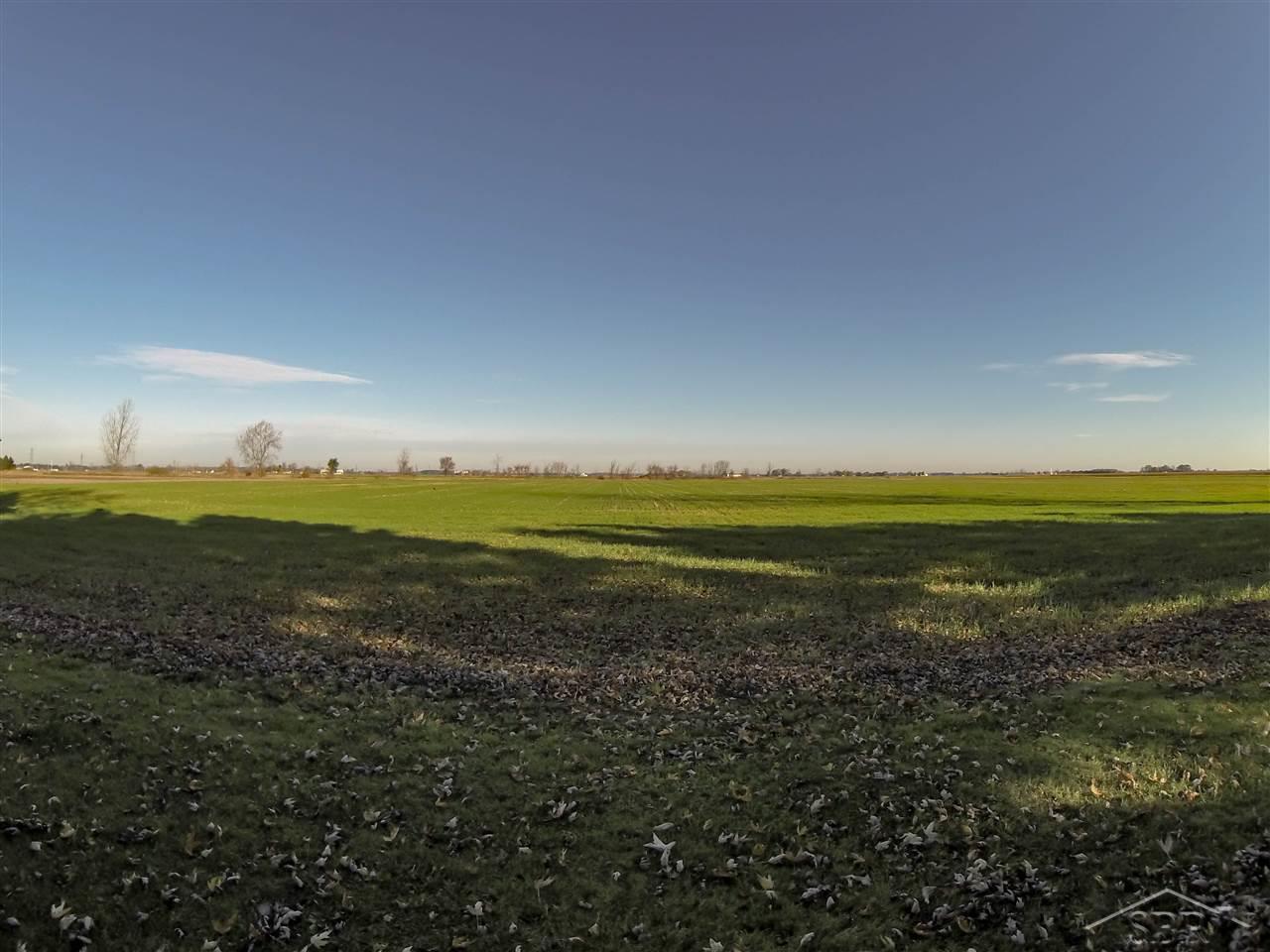 2366 West Wheeler Road Auburn, MI 48611 - Photo 13 of 15 View of additional income producing 4 acres.