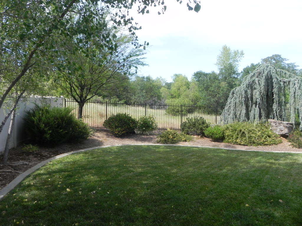 951 River Bend Road Redding, CA 96003 - Photo 20 of 21 BACK YARD SHADE