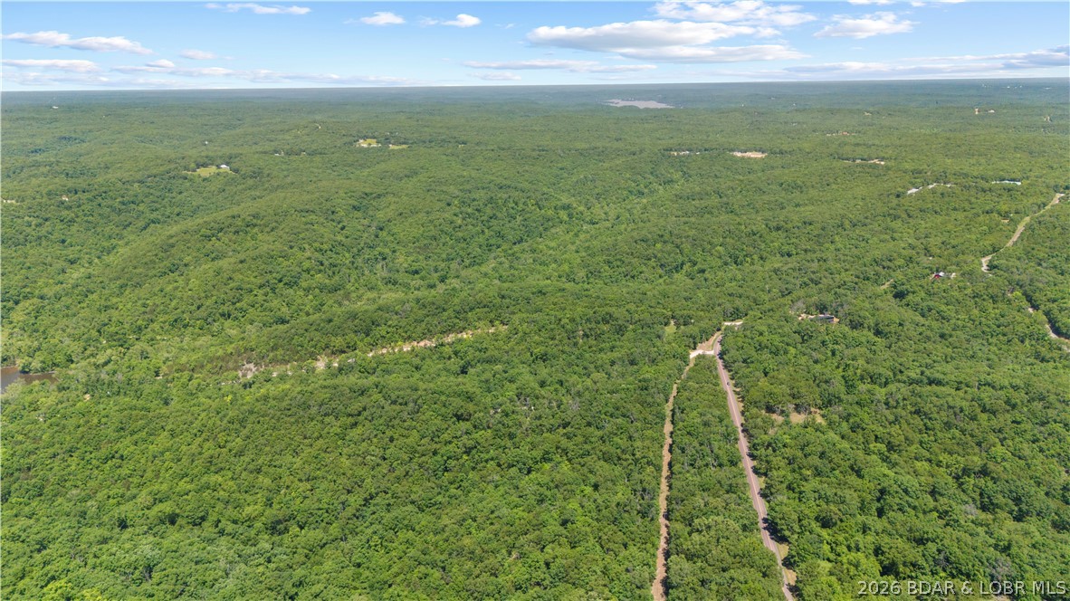 5-acres Pirates Pirates Cove Road Camdenton, MO 65020 - Photo 29 of 30