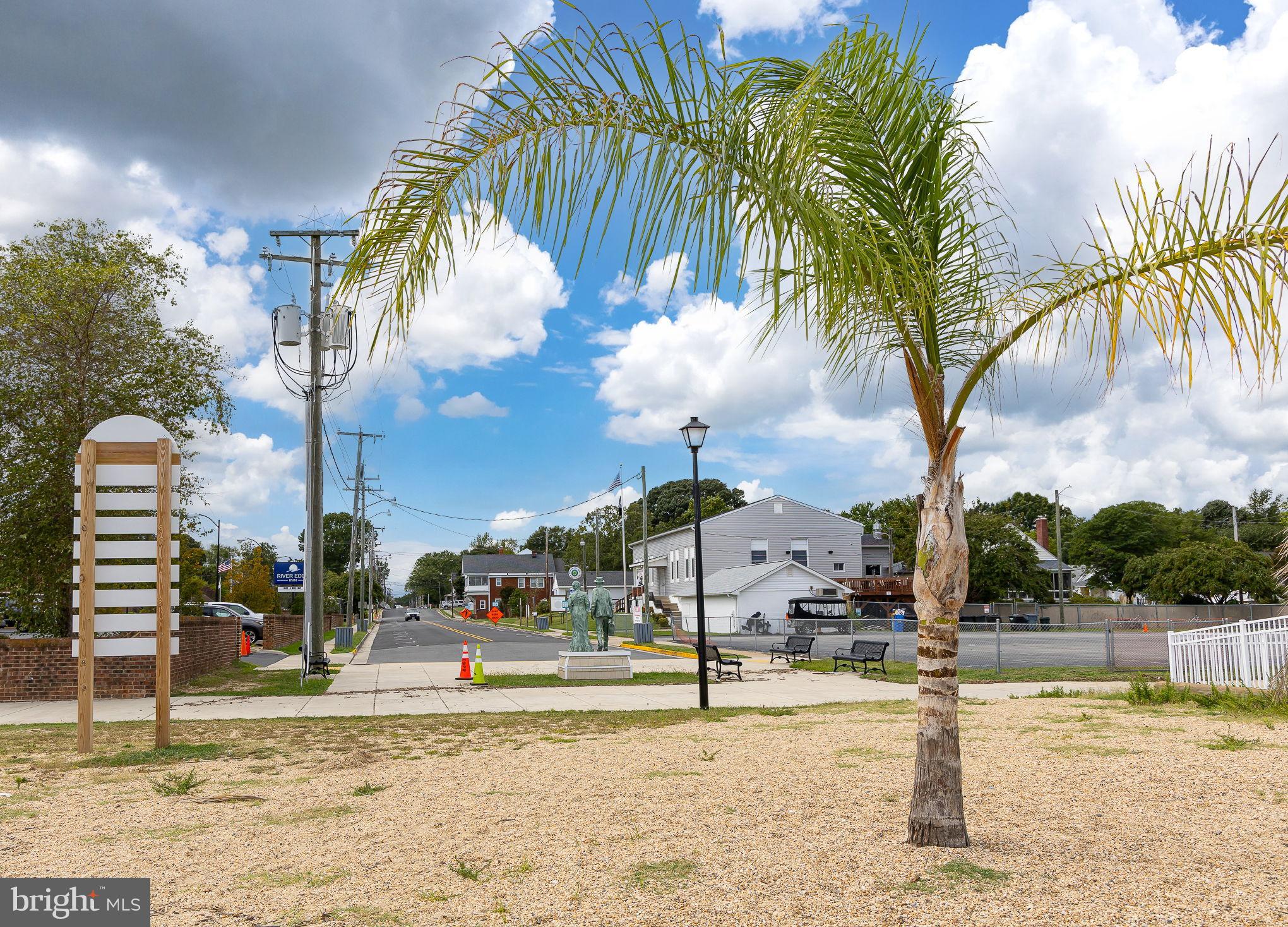 312 9th Street Colonial Beach, VA 22443 - Photo 40 of 62 Charming streetscape with palm tree allure.