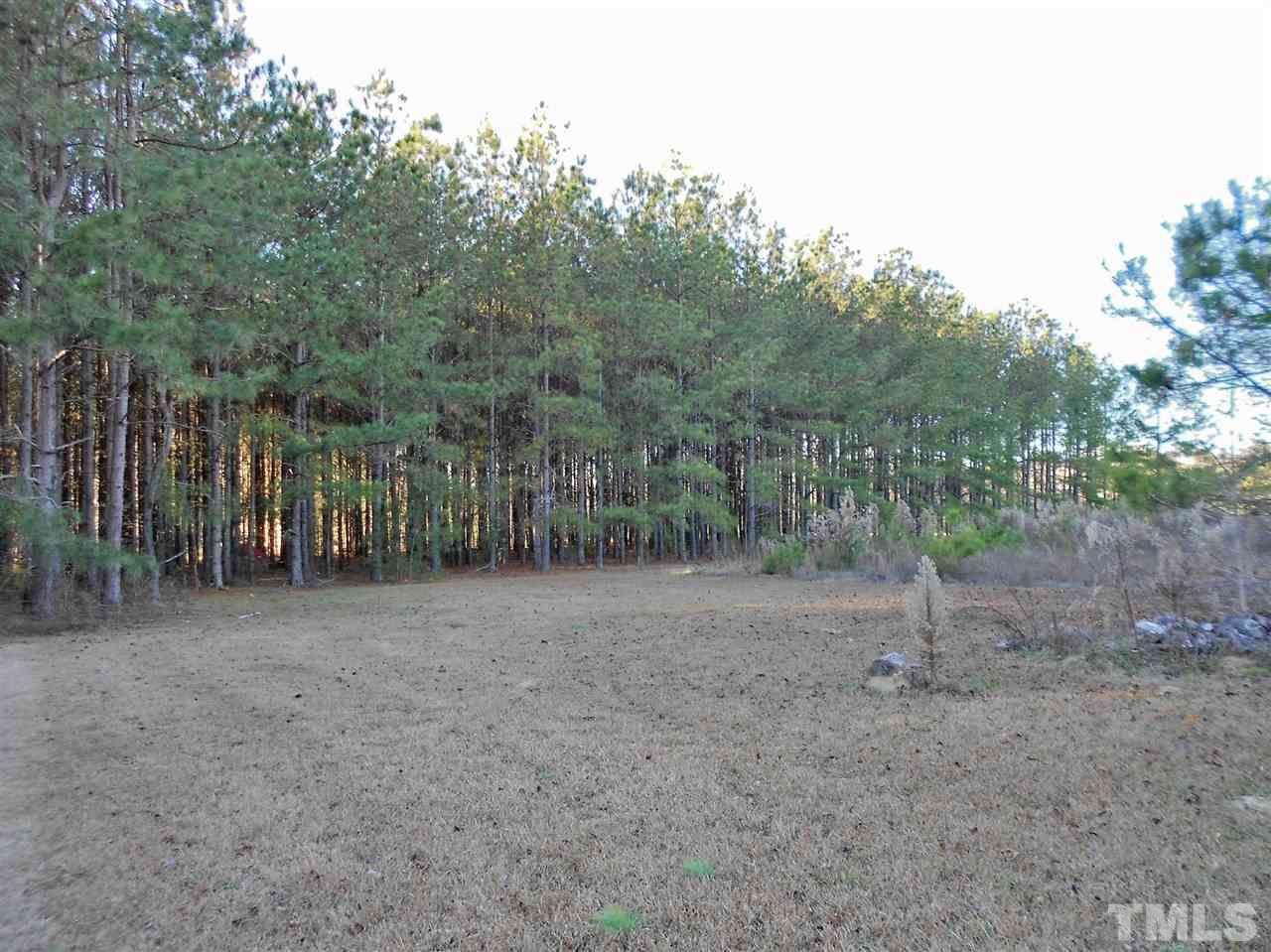 9408 Walter Myatt Road Fuquay-Varina, NC 27526 - Photo 23 of 25 a view of a field with trees in the background