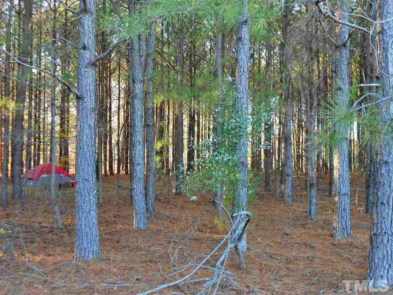 9408 Walter Myatt Road Fuquay-Varina, NC 27526 - Photo 24 of 25 a view of a backyard