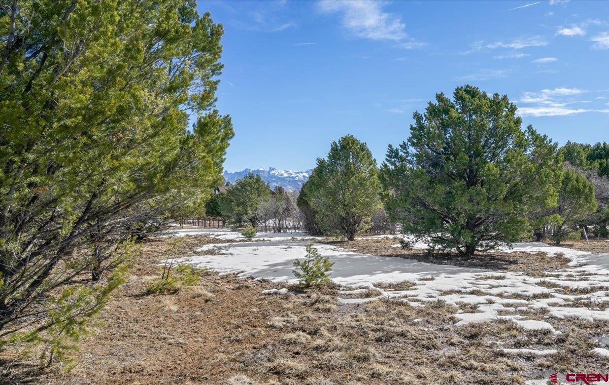Tbd Lot 2 Tbd Lane Ridgway, CO 81432 - Photo 16 of 19 a view of a dirt road with trees in the background