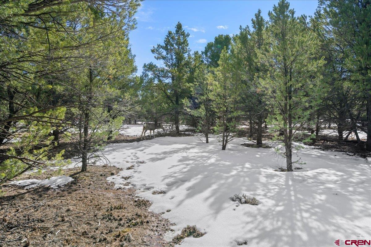 Tbd Lot 2 Tbd Lane Ridgway, CO 81432 - Photo 18 of 19 a view of outdoor space with trees