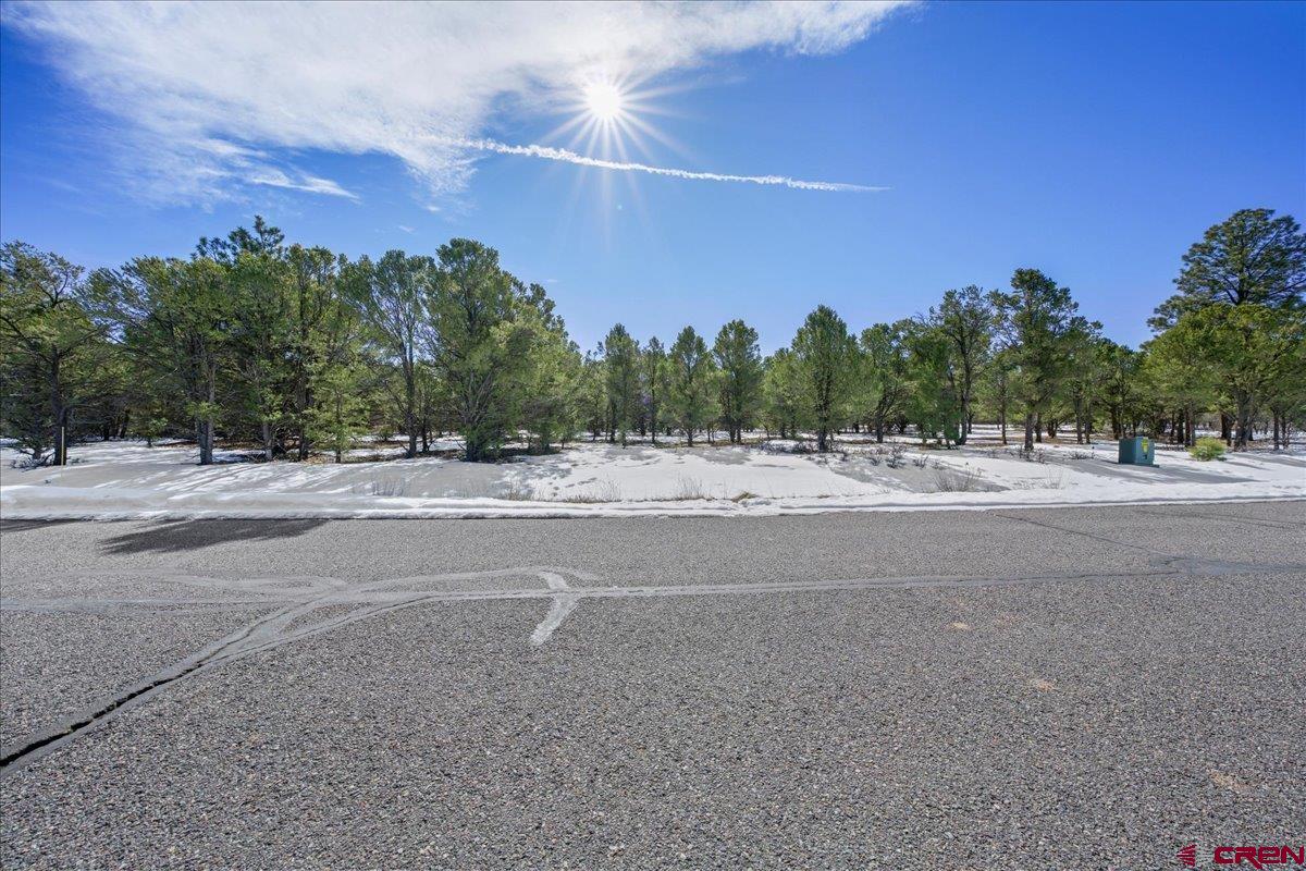 Tbd Lot 2 Tbd Lane Ridgway, CO 81432 - Photo 19 of 19 a view of a roadside