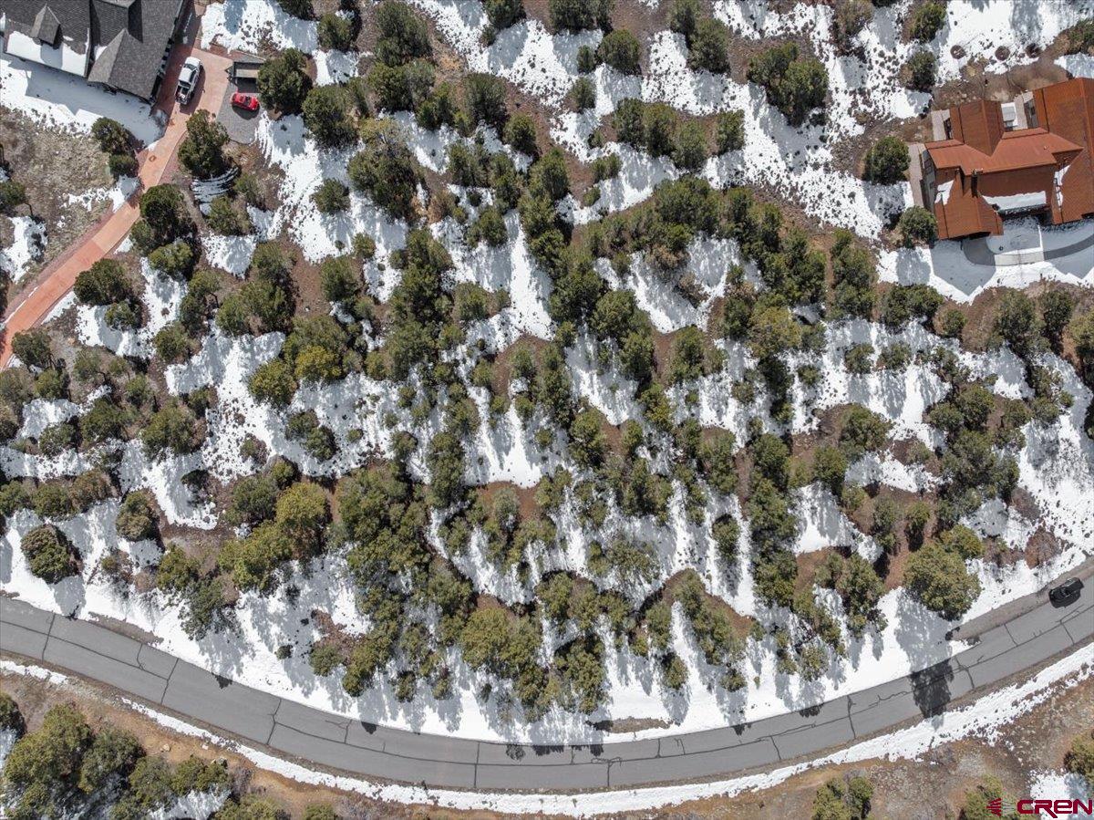 Tbd Lot 2 Tbd Lane Ridgway, CO 81432 - Photo 3 of 19 a view of a tree in a house