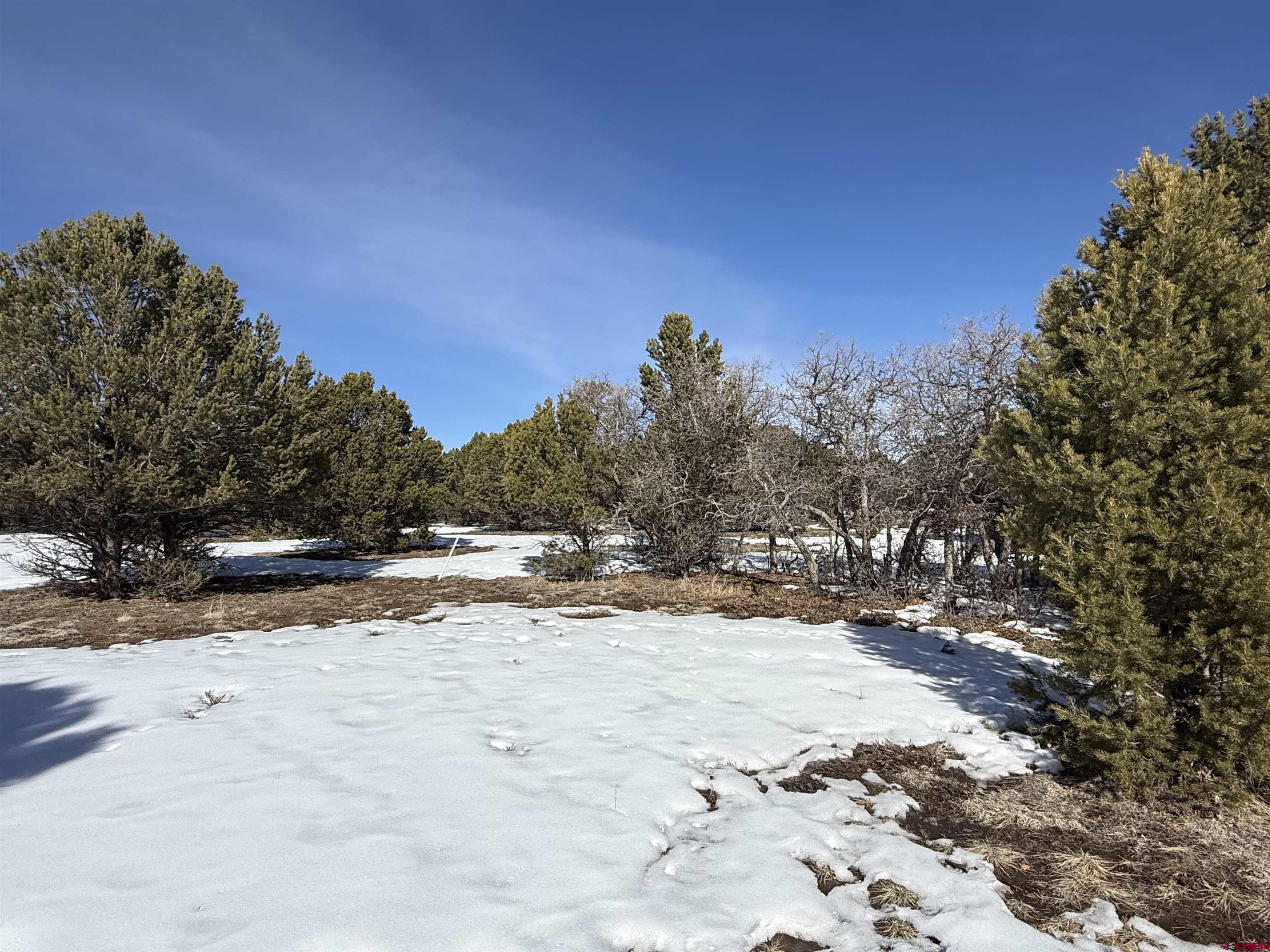 Tbd Lot 2 Tbd Lane Ridgway, CO 81432 - Photo 4 of 5